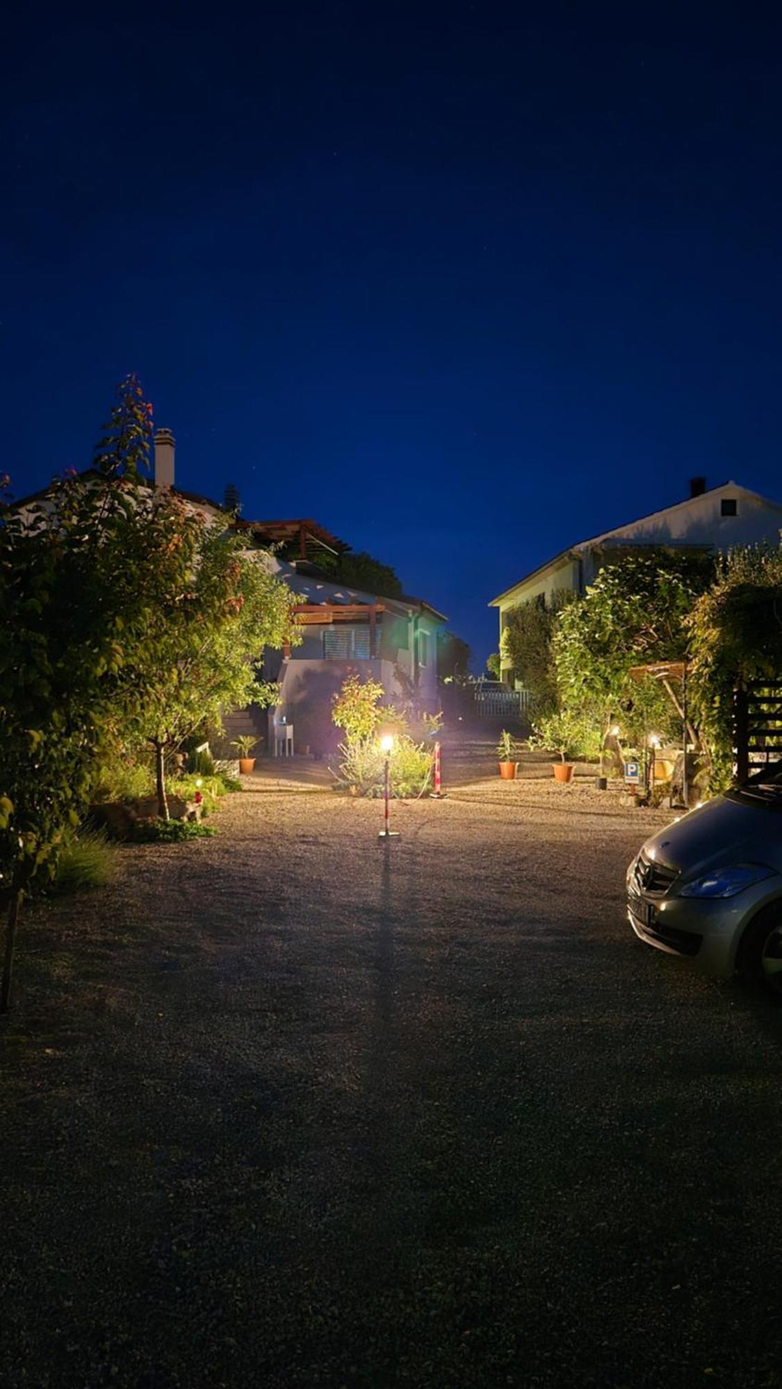 Luce Brzac